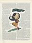 Page: - 25 | Dartmouth Alumni Magazine
