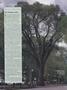 Page: - 17 | Dartmouth Alumni Magazine