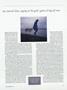 Page: - 31 | Dartmouth Alumni Magazine