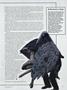 Page: - 29 | Dartmouth Alumni Magazine