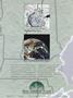 Page: - 54 | Dartmouth Alumni Magazine