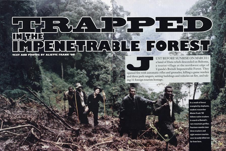 Trapped in the Bwindi Impenetrable Forest 