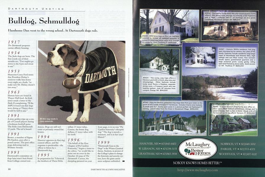 Bulldog, Schmulldog