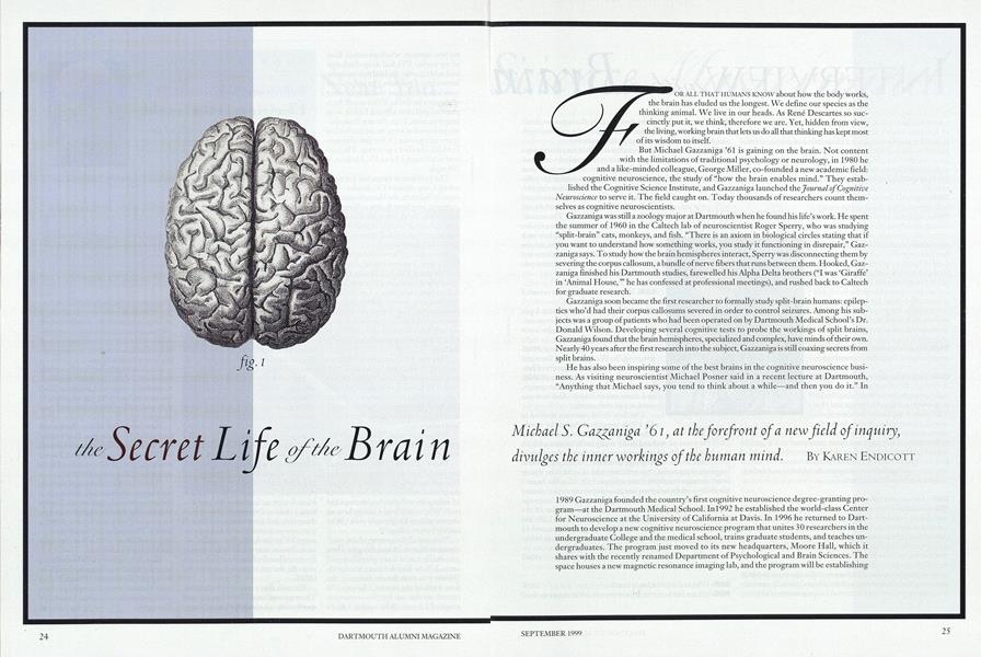 Interview with a Brain Science Mastermind