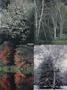 Page: - 27 | Dartmouth Alumni Magazine