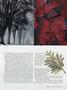 Page: - 28 | Dartmouth Alumni Magazine