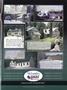 Page: - 81 | Dartmouth Alumni Magazine