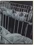 Page: - 31 | Dartmouth Alumni Magazine
