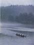 Page: - 5 | Dartmouth Alumni Magazine