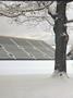 Page: - 6 | Dartmouth Alumni Magazine