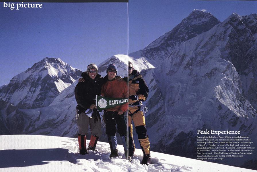 Big Picture: Peak Experience