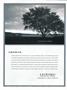 Page: - 70 | Dartmouth Alumni Magazine