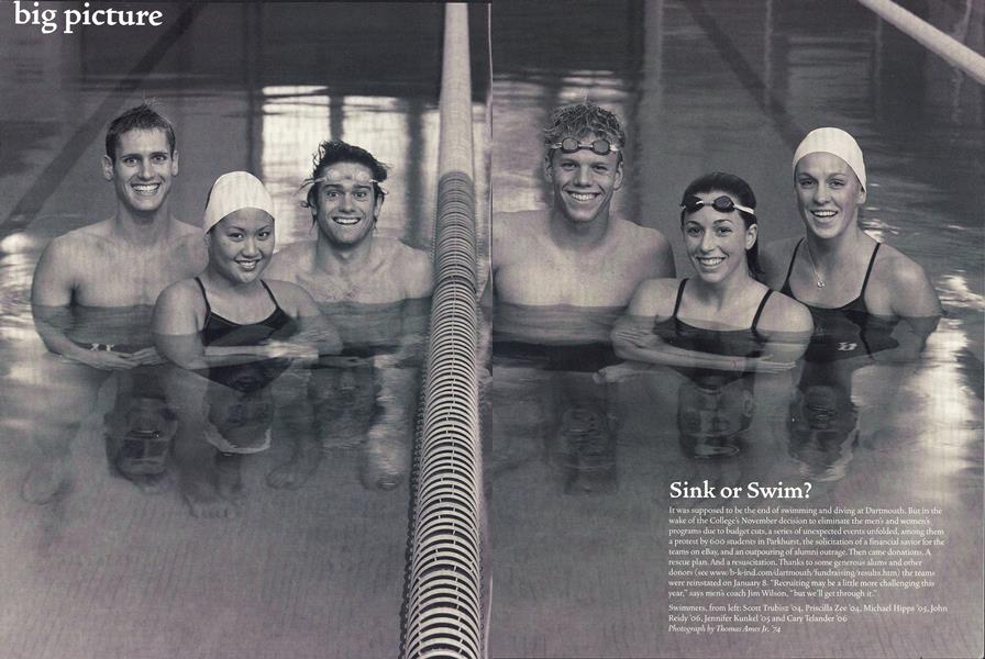 Big Picture: Sink or Swim?