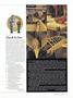 Page: - 17 | Dartmouth Alumni Magazine