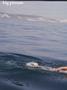 Page: - 4 | Dartmouth Alumni Magazine