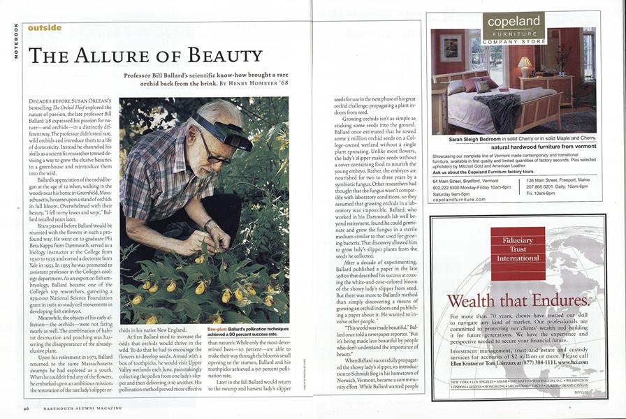 The Allure of Beauty