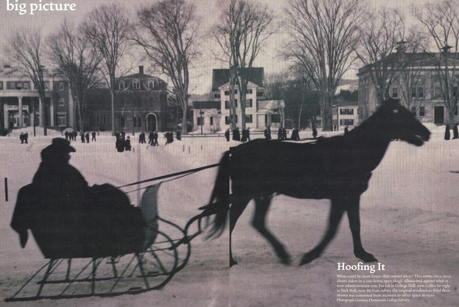 Big Picture: Hoofing It