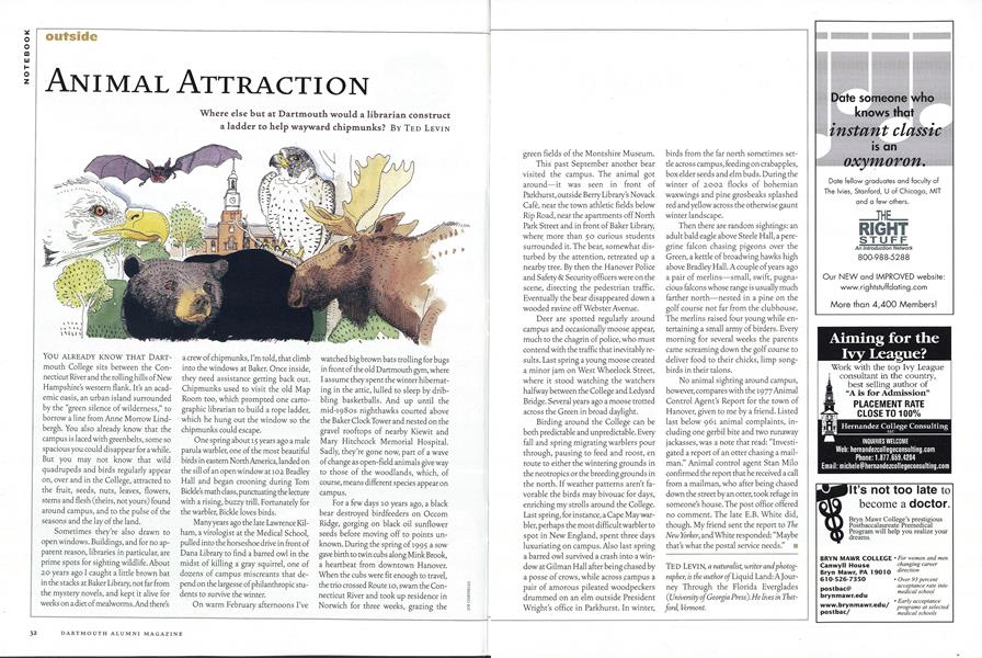 Animal Attraction