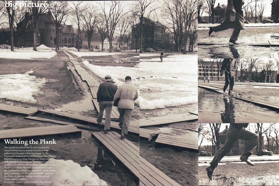 Walking the Plank