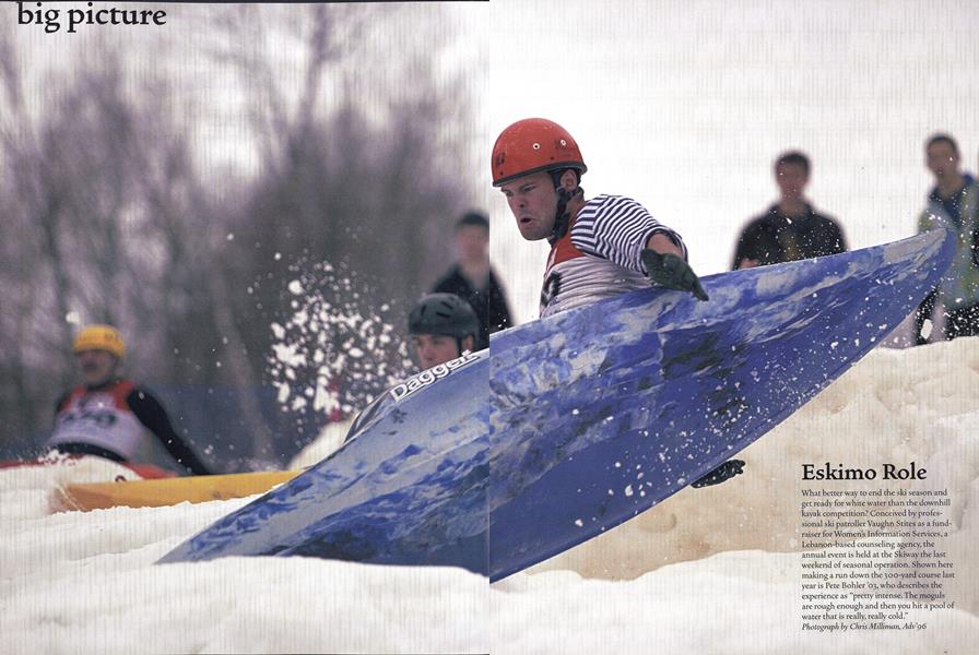 Big Picture: Eskimo Role