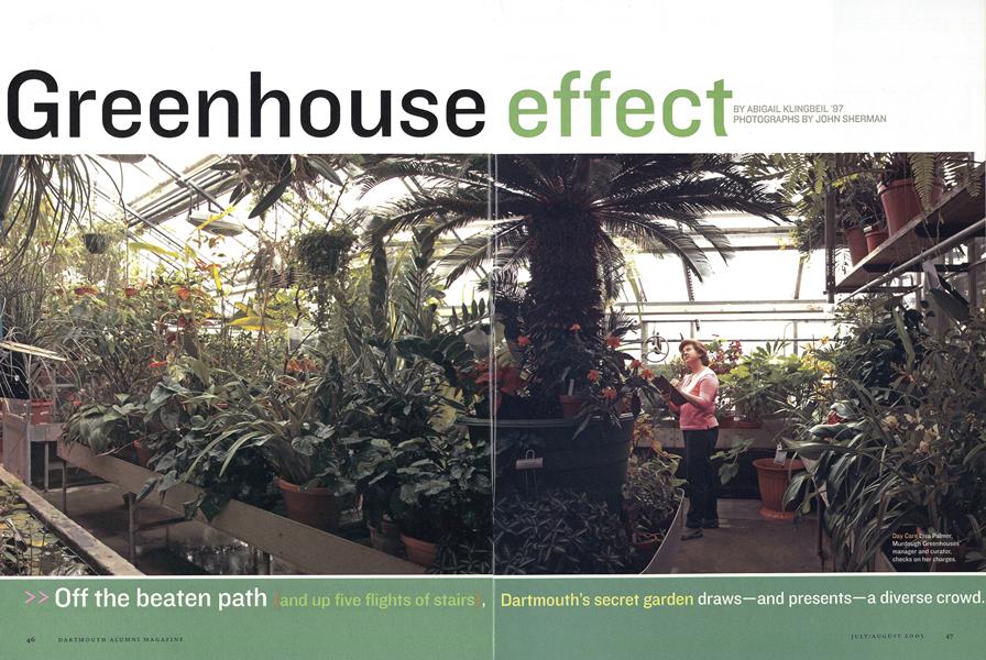 Greenhouse Effect