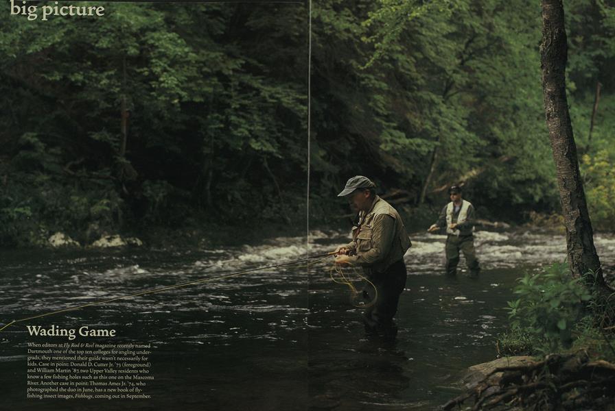 Big Picture: Wading Game