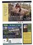 Page: - 80 | Dartmouth Alumni Magazine