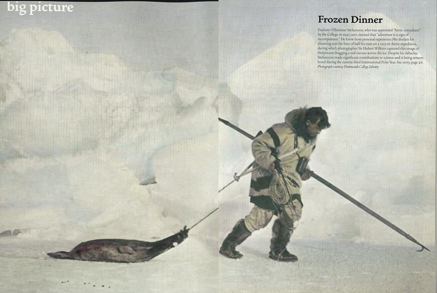 Big Picture: Frozen Dinner