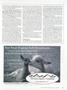 Page: - 81 | Dartmouth Alumni Magazine