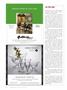 Page: - 32 | Dartmouth Alumni Magazine
