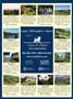 Page: - 113 | Dartmouth Alumni Magazine