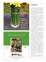 Page: - 32 | Dartmouth Alumni Magazine