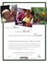 Page: - 15 | Dartmouth Alumni Magazine