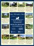 Page: - 97 | Dartmouth Alumni Magazine