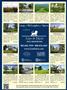 Page: - 78 | Dartmouth Alumni Magazine