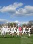 Page: - 5 | Dartmouth Alumni Magazine
