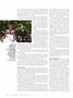 Page: - 56 | Dartmouth Alumni Magazine