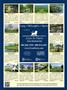 Page: - 105 | Dartmouth Alumni Magazine