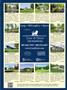 Page: - 121 | Dartmouth Alumni Magazine