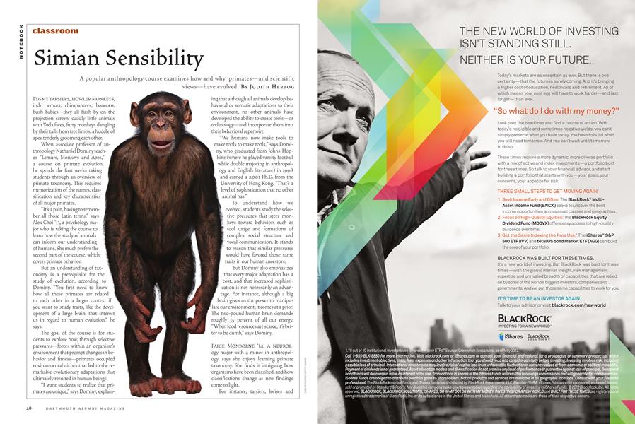 Simian Sensibility