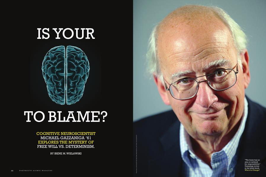 Is Your Brain to Blame?
