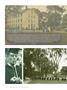 Page: - 44 | Dartmouth Alumni Magazine