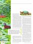 Page: - 35 | Dartmouth Alumni Magazine