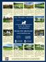 Page: - 113 | Dartmouth Alumni Magazine