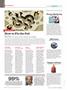 Page: - 22 | Dartmouth Alumni Magazine