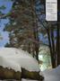 Page: - 3 | Dartmouth Alumni Magazine