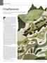 Page: - 34 | Dartmouth Alumni Magazine