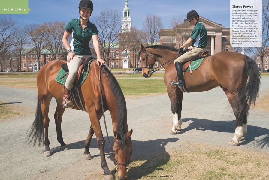 BIG PICTURE: Horse Power
