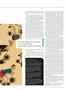 Page: - 31 | Dartmouth Alumni Magazine