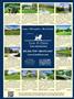Page: - 113 | Dartmouth Alumni Magazine
